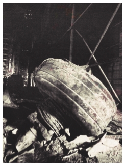 carrello trovato al WTC