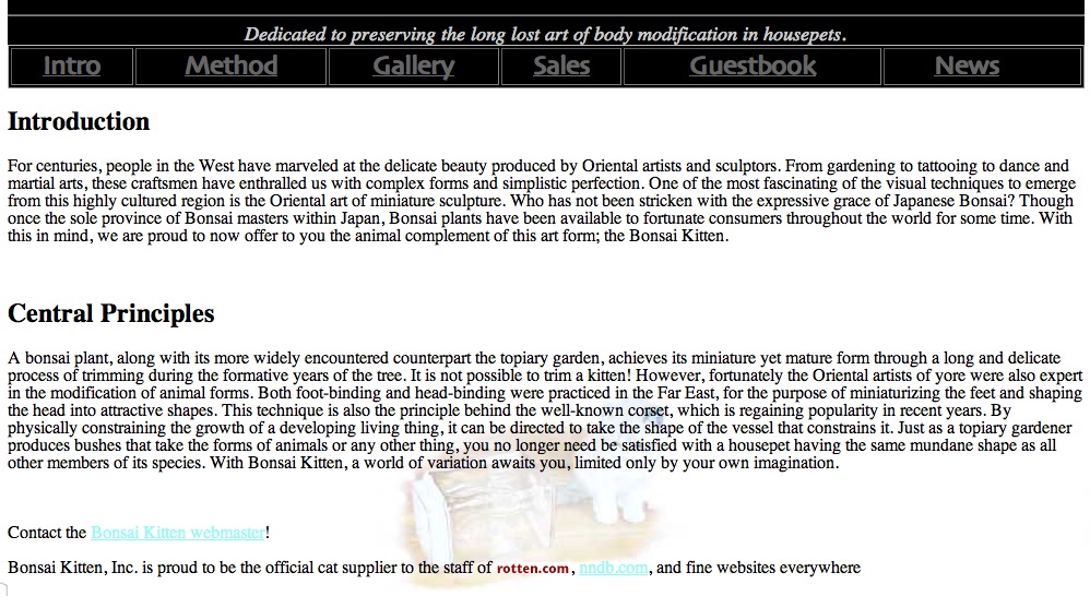 schermata bonsaikitten