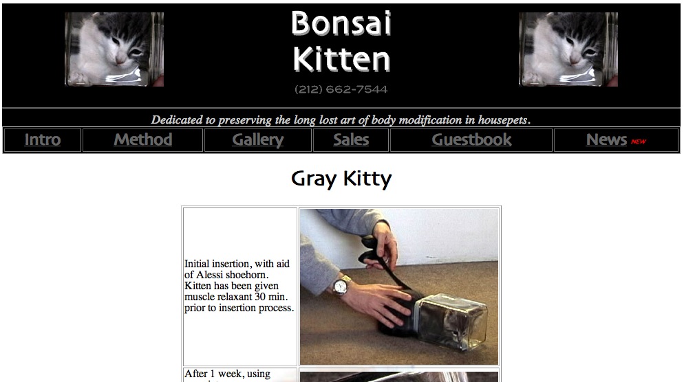 schermata bonsaikitten