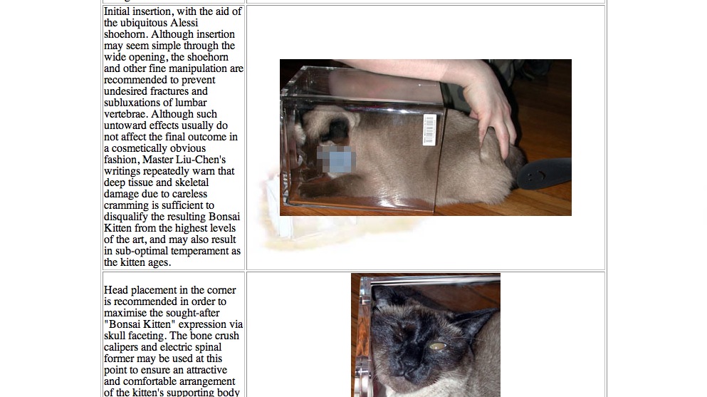 schermata bonsaikitten