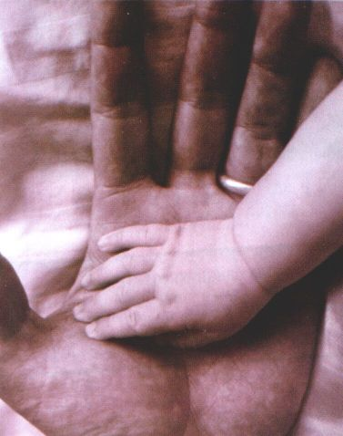 mano di bambino protetta da mano di adulto