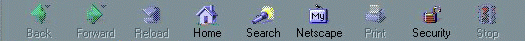 toolbar_netscape_usa